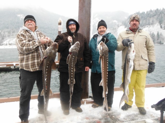 Sturgeon fishing in Washington